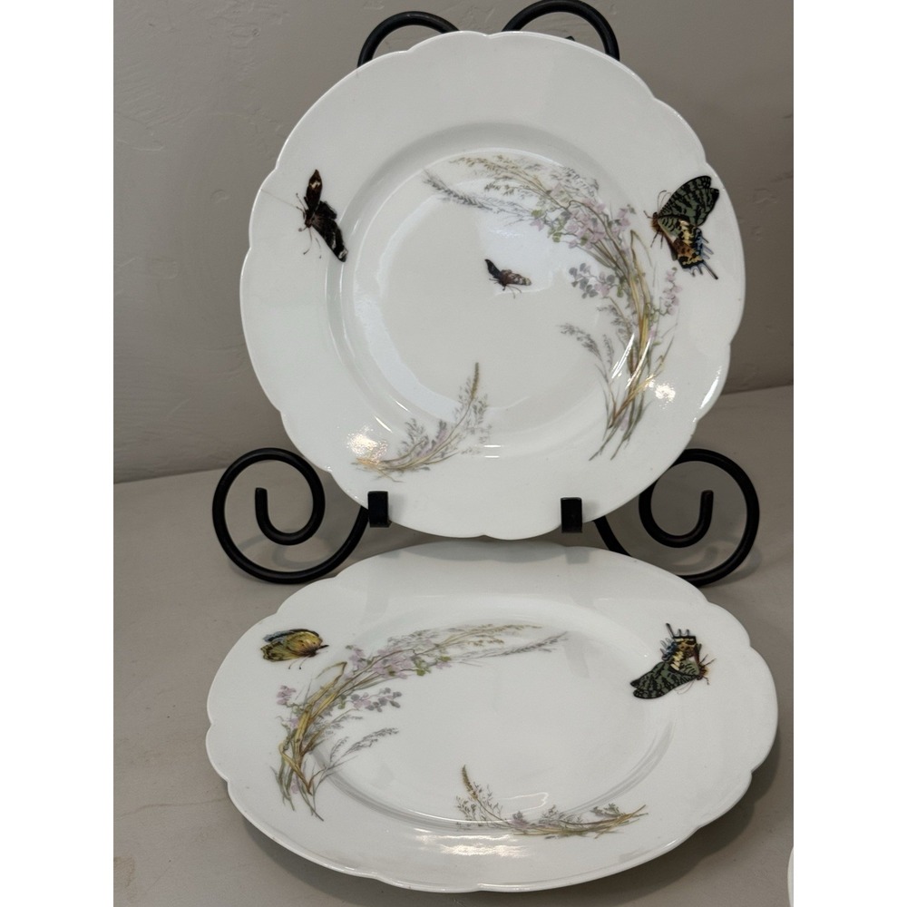 Lot of 2 Haviland Limoges Butterfly Meadow Visitor Grassy Marsh  Dinner Plates